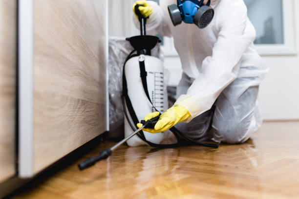  Mount Pleasant, MI Pest Control Pros