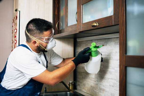 Trusted Mount Pleasant, MI Pest Control Experts