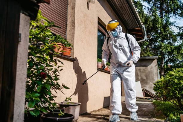Best Spider Control Near Me  in Mount Pleasant, MI