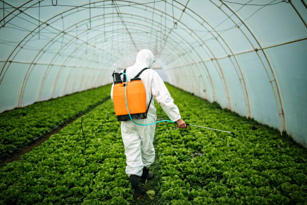 Best Local Pest Control Services  in Mount Pleasant, MI
