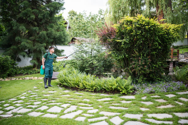 Best Pest Prevention Services  in Mount Pleasant, MI