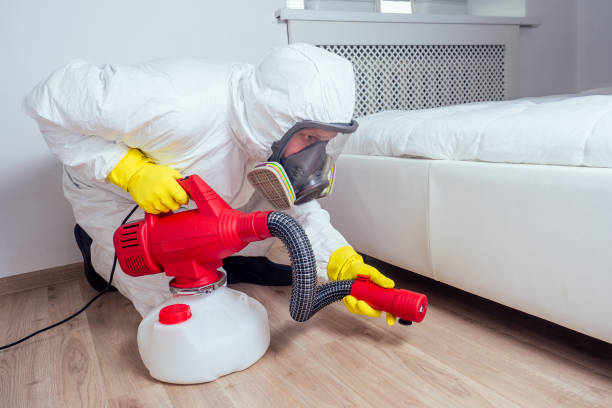 Best Insect Control  in Mount Pleasant, MI