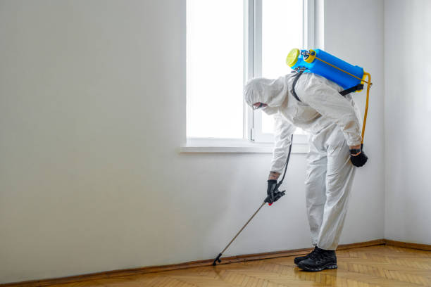 Pest Prevention Services in Mount Pleasant, MI