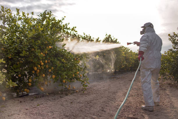 Best Wildlife Control Services  in Mount Pleasant, MI