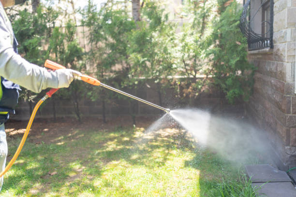 Best Affordable Pest Control Services  in Mount Pleasant, MI
