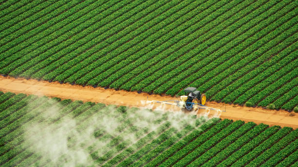 Best Mosquito Control Services  in Mount Pleasant, MI