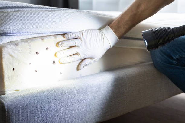 Best Rat Extermination Near Me  in Mount Pleasant, MI