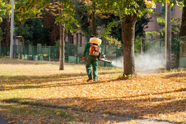 Wildlife Control Services in Mount Pleasant, MI