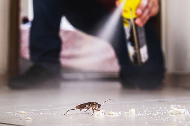 Best Exterminator Services  in Mount Pleasant, MI
