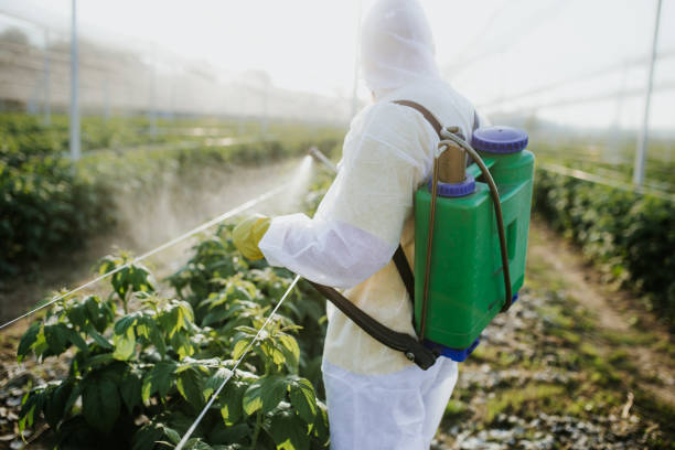 Best Residential Pest Control  in Mount Pleasant, MI
